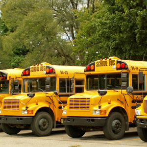 School Info